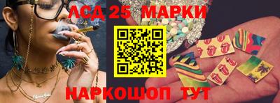 шишки Пенза