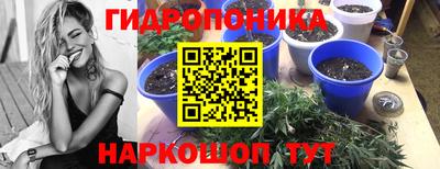 шишки Пенза