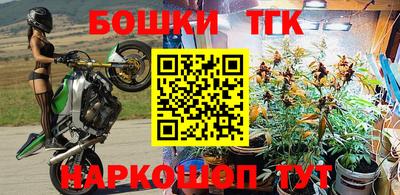 гидра Партизанск