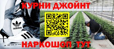 гидра Партизанск