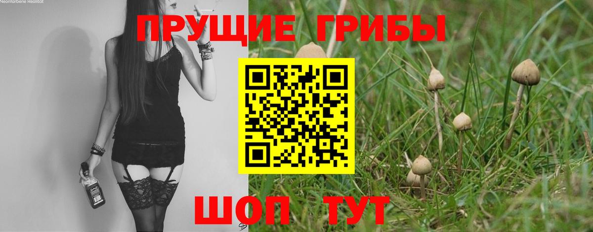 Геленджик  Псилоцибиновые грибы Psilocybe  Галлюциногенные грибы мицелий  Вход с VPN 